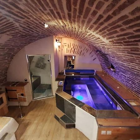 Studio Et Spa Privatif Le Puits De La Grace Алби Екстериор снимка