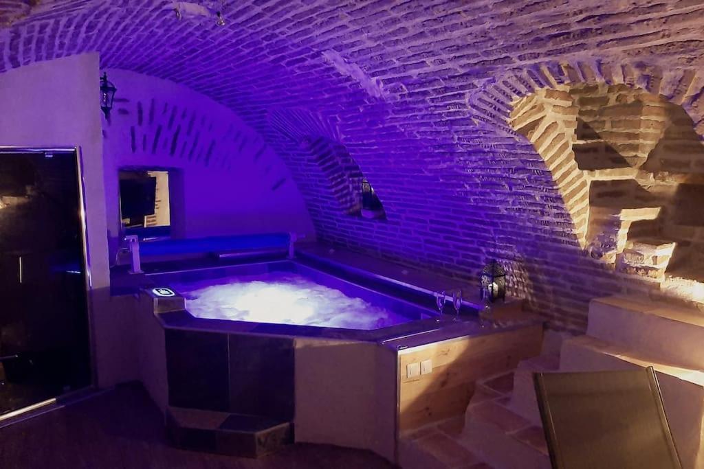 Studio Et Spa Privatif Le Puits De La Grace Алби Екстериор снимка