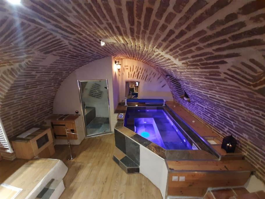 Studio Et Spa Privatif Le Puits De La Grace Алби Екстериор снимка