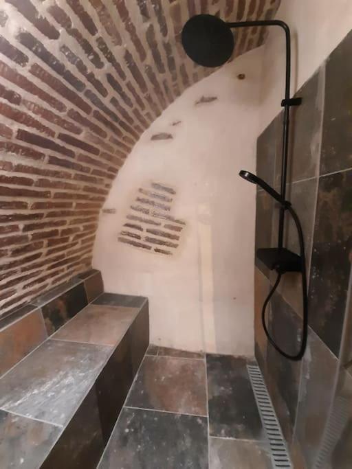 Studio Et Spa Privatif Le Puits De La Grace Алби Екстериор снимка