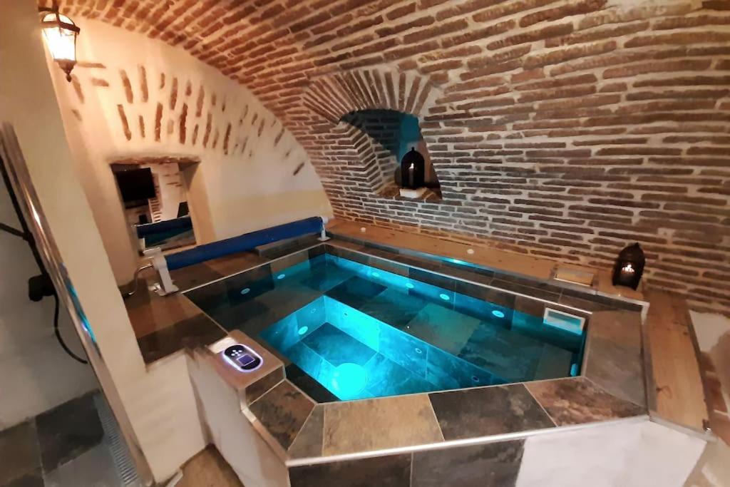 Studio Et Spa Privatif Le Puits De La Grace Алби Екстериор снимка