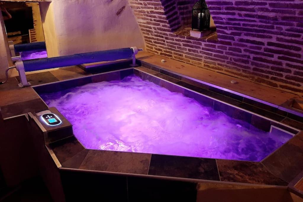 Studio Et Spa Privatif Le Puits De La Grace Алби Екстериор снимка