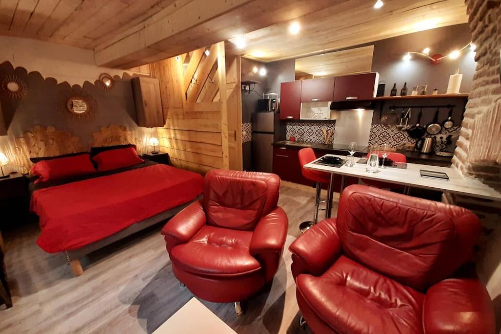 Studio Et Spa Privatif Le Puits De La Grace Алби Екстериор снимка