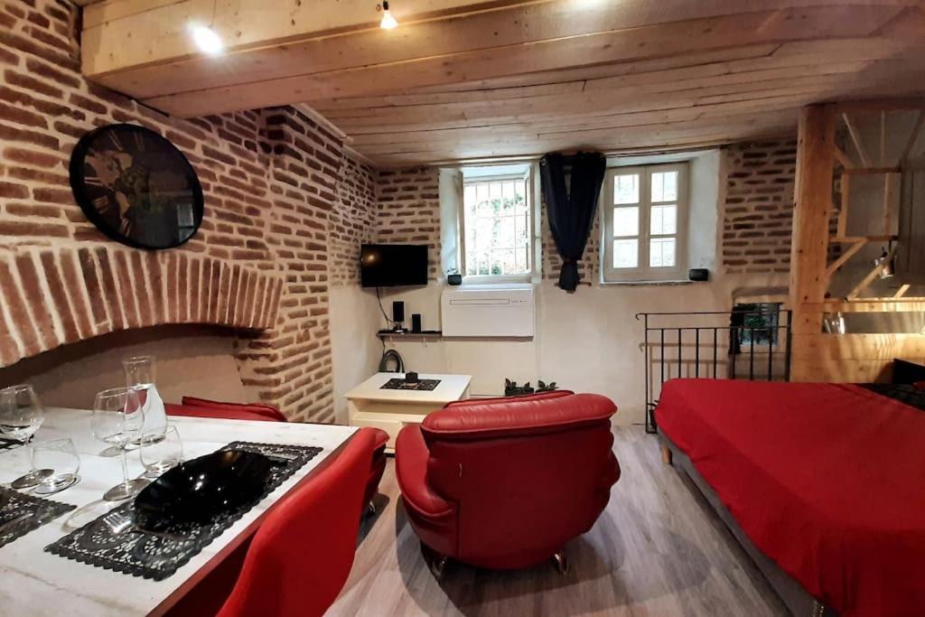 Studio Et Spa Privatif Le Puits De La Grace Алби Екстериор снимка