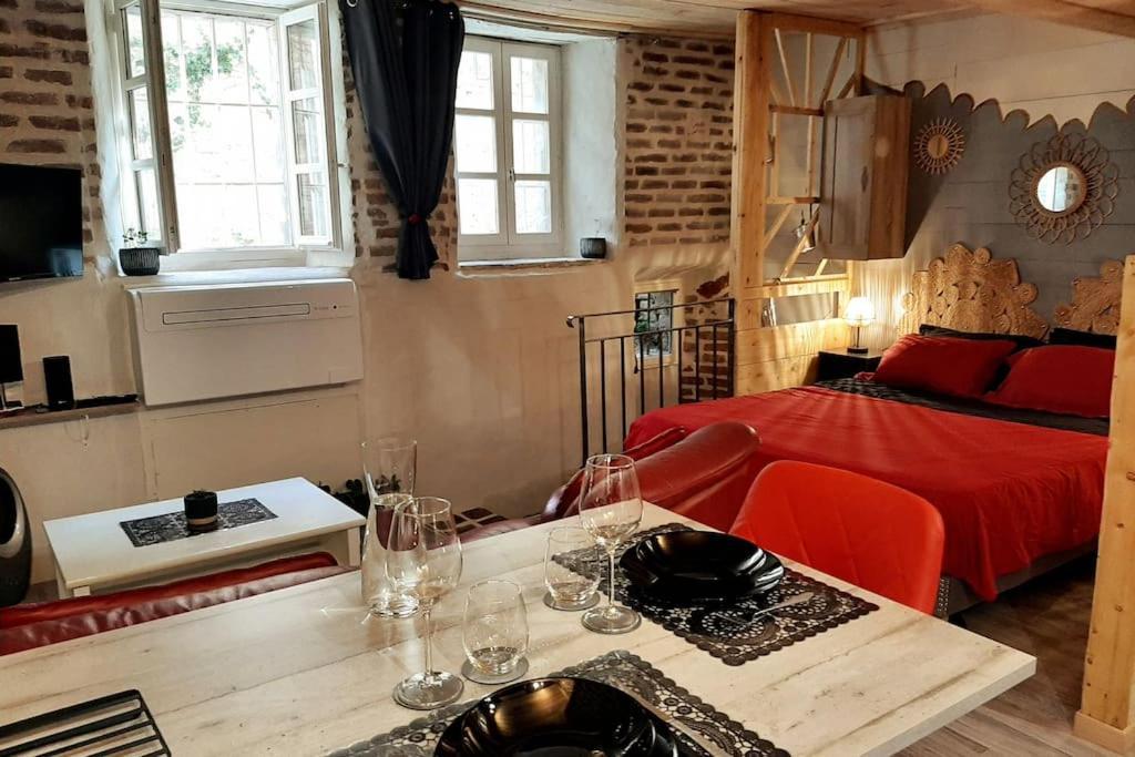 Studio Et Spa Privatif Le Puits De La Grace Алби Екстериор снимка