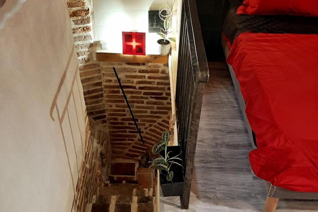 Studio Et Spa Privatif Le Puits De La Grace Алби Екстериор снимка