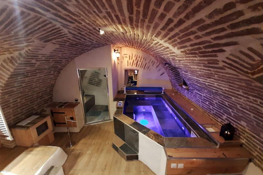 Studio Et Spa Privatif Le Puits De La Grace Алби Екстериор снимка